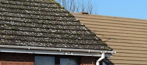Gutter and roof cleaning in Ashford and Kennington